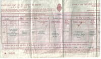 Birth Certificate Albert Henry Ponting