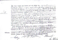 Birth Certificate Augustina