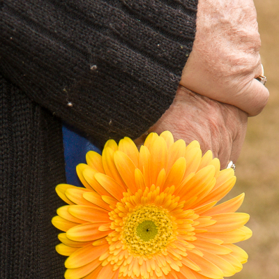 DSC06373 DSC06373