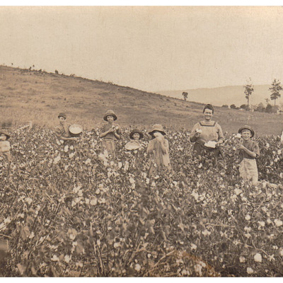 a_191 a_191